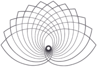 untitled design 19 e1719698034871